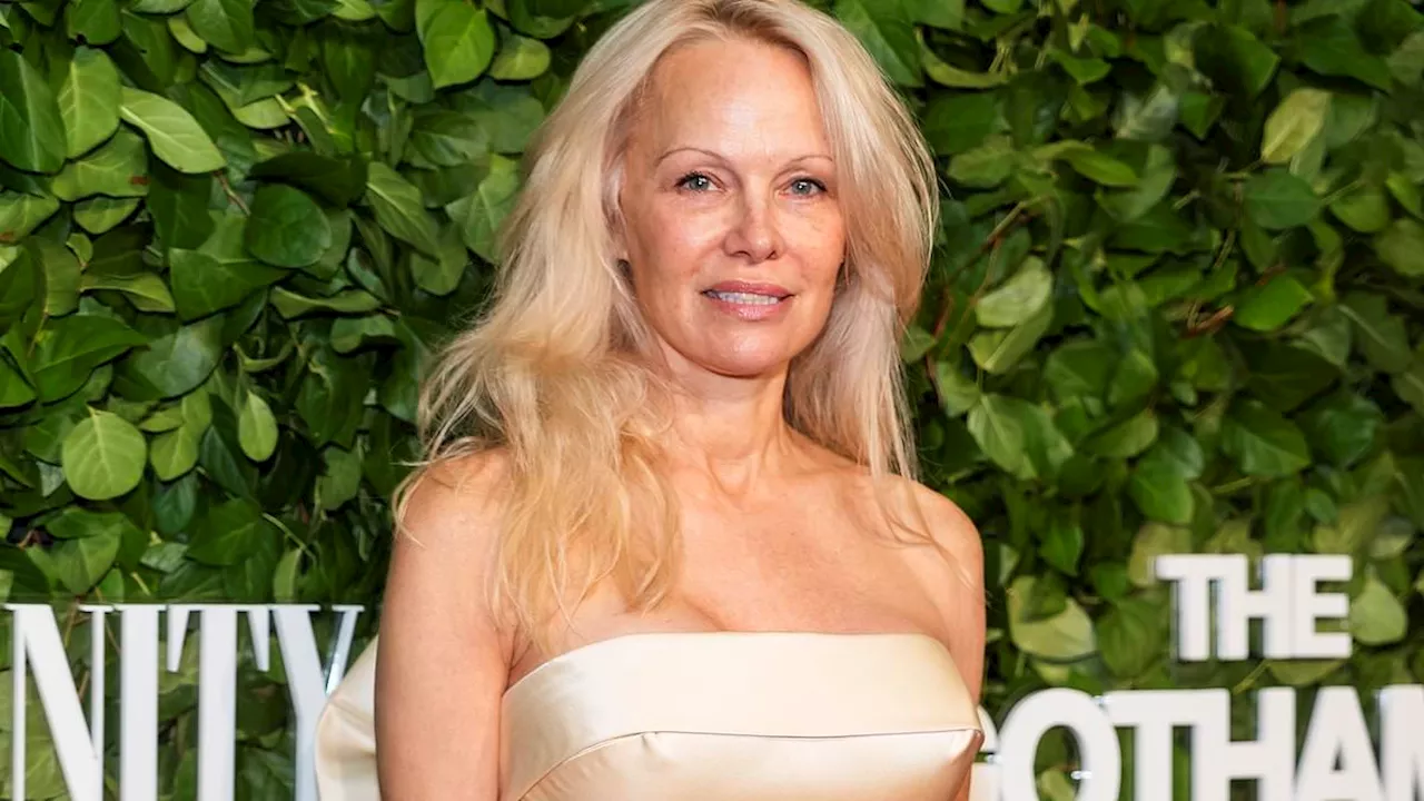 Pamela Anderson Fans Outraged Over Missing Oscar Nomination for 'The Last Showgirl'