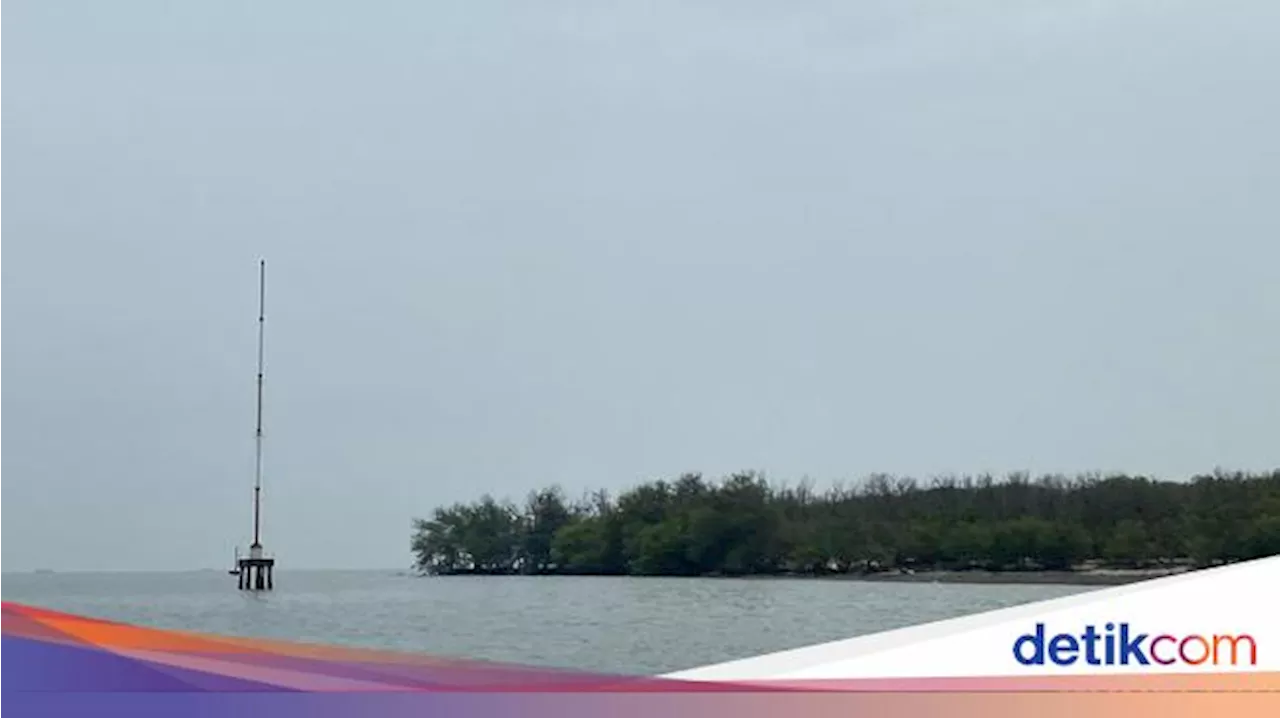 Temuan Baru soal HGB di Laut Sidoarjo