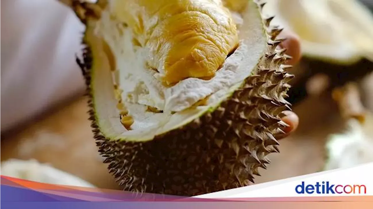 China Impor Durian Thailand Hingga Vietnam Rp 113 T, Tak Ada dari RI