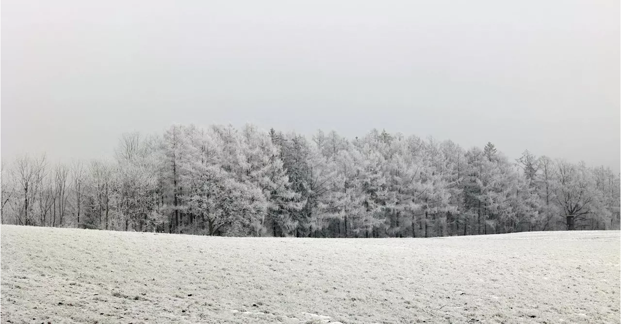 Grammelschmalz hilft im Jännerblues