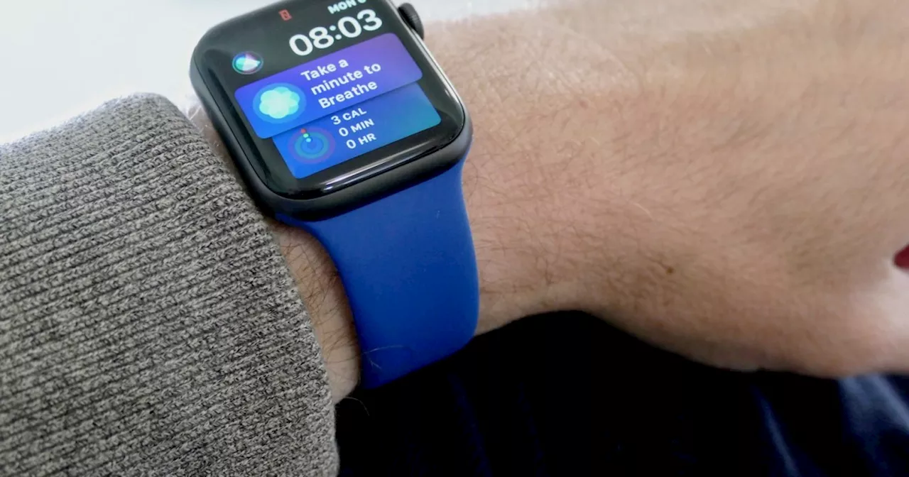 Apple hit by lawsuit over harmful ‘forever chemicals’ in Watch bands