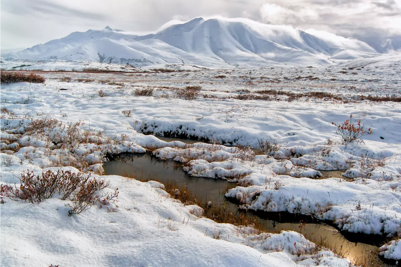 Permafrost Thaw and Wildfires Are Raising CO2 Emissions in Arctic Tundras