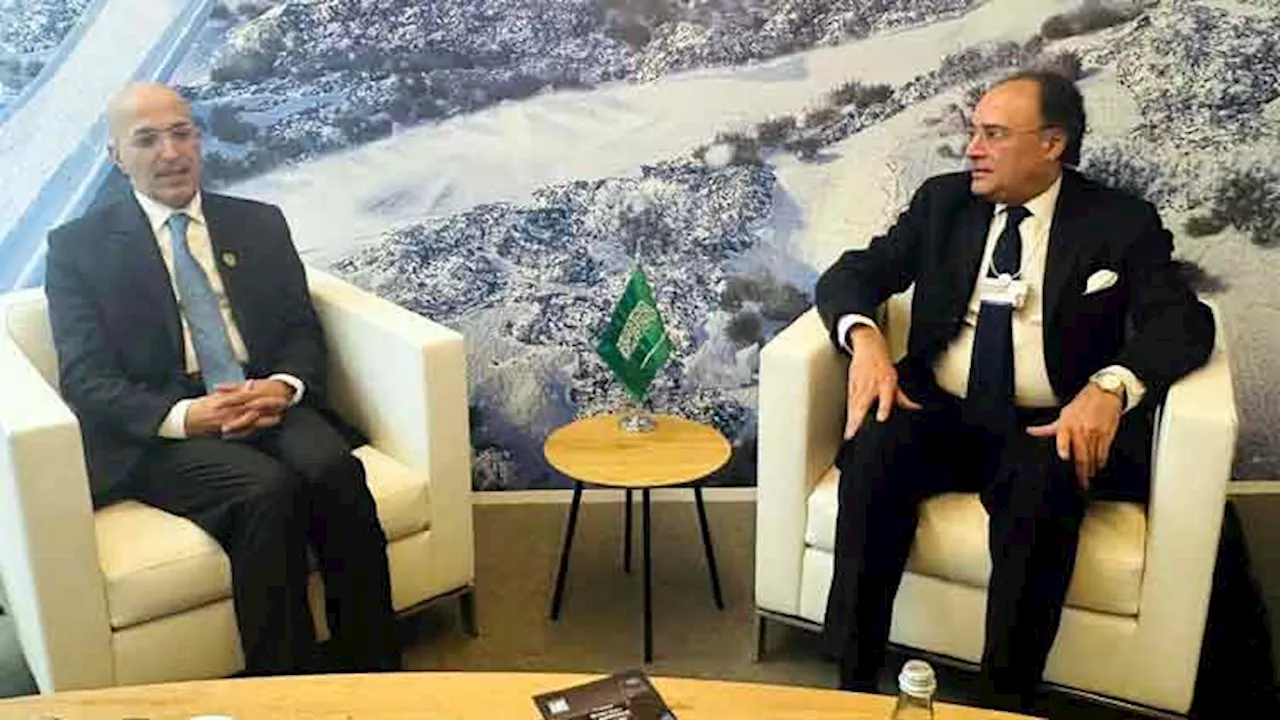 Pakistan, Saudi Arabia reaffirm commitment to boost economic ties