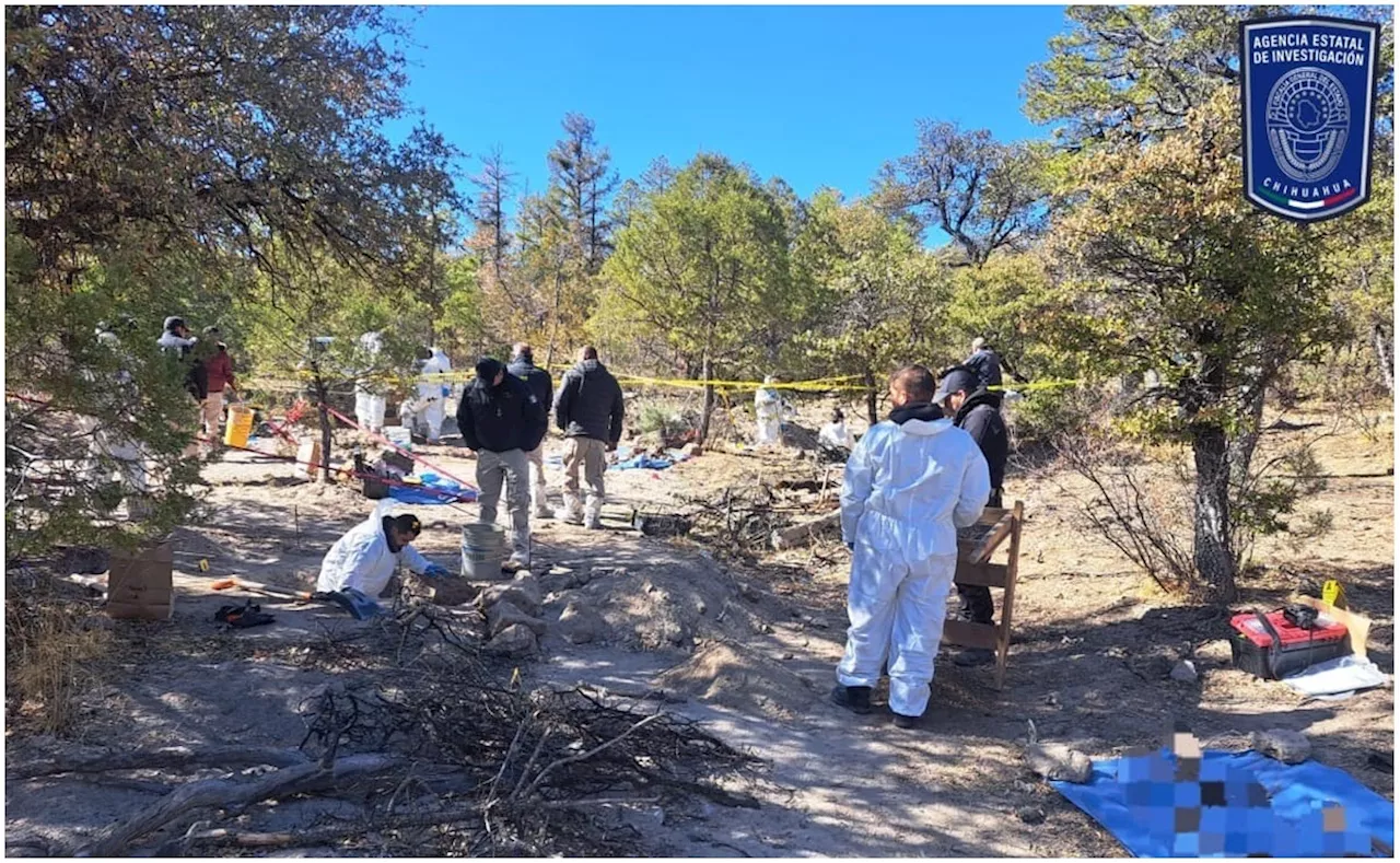 Localizan 10 cuerpos humanos en fosas clandestinas en Casas Grandes, Chihuahua; inician trabajos de identificación