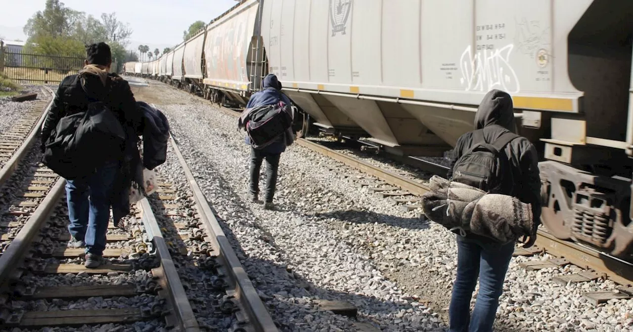 Autoridades construyen refugios fronterizos ante posibles deportaciones masivas