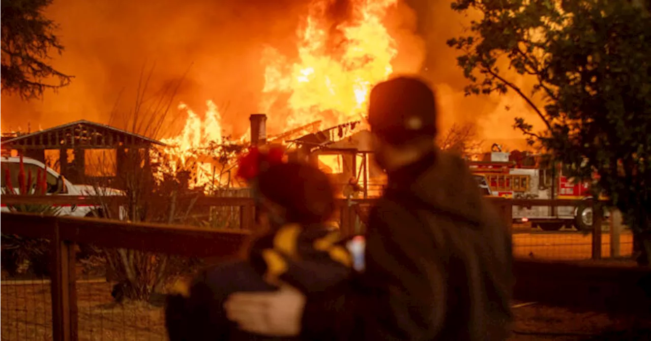 Gli incendi a Los Angeles forse non si potevano evitare, ma certamente contenerne l’impatto sì