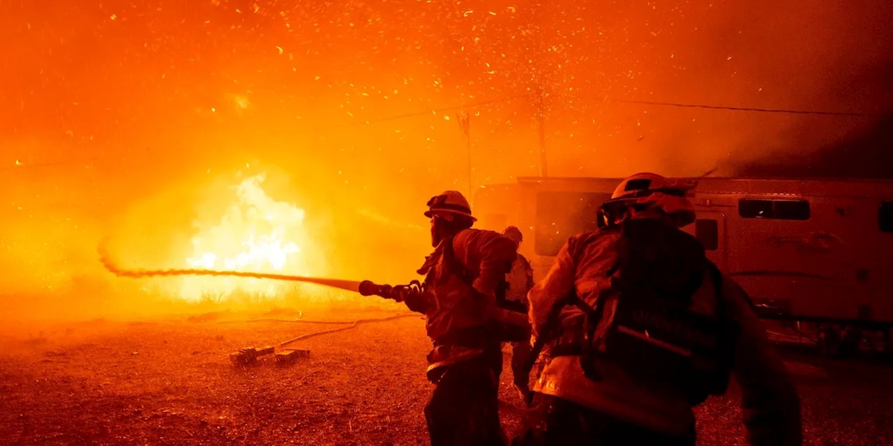 Neuer Brandherd in Kalifornien: Schulen und Gefängnis evakuiert – Feuerwehr im Dauereinsatz