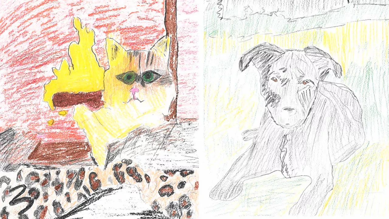 Tacoma Humane Society brings back 'Poorly Drawn Pets' fundraiser