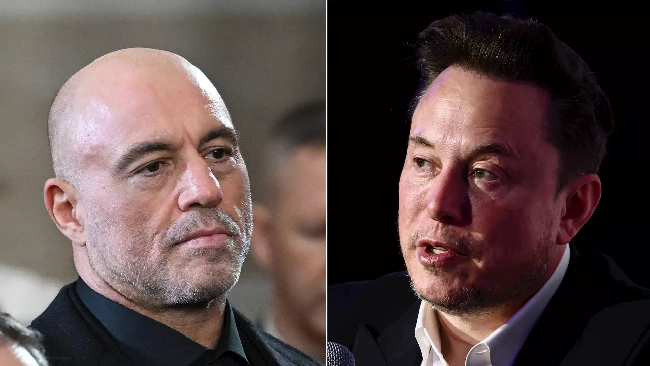 Joe Rogan Slams Liberals For 'Crying Wolf' Over Elon Musk's 'Nazi Salute' Accusations