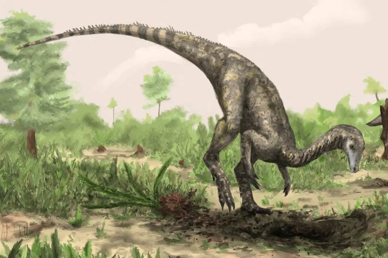 Dinosaurs' Birthplace: A Surprising Location in the Sahara and Amazon