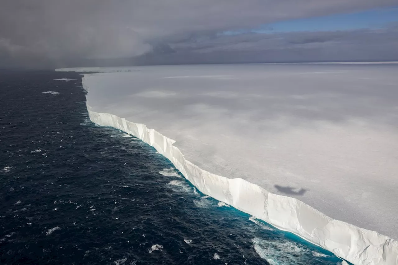 World's Largest Iceberg Heads Toward Penguin Haven