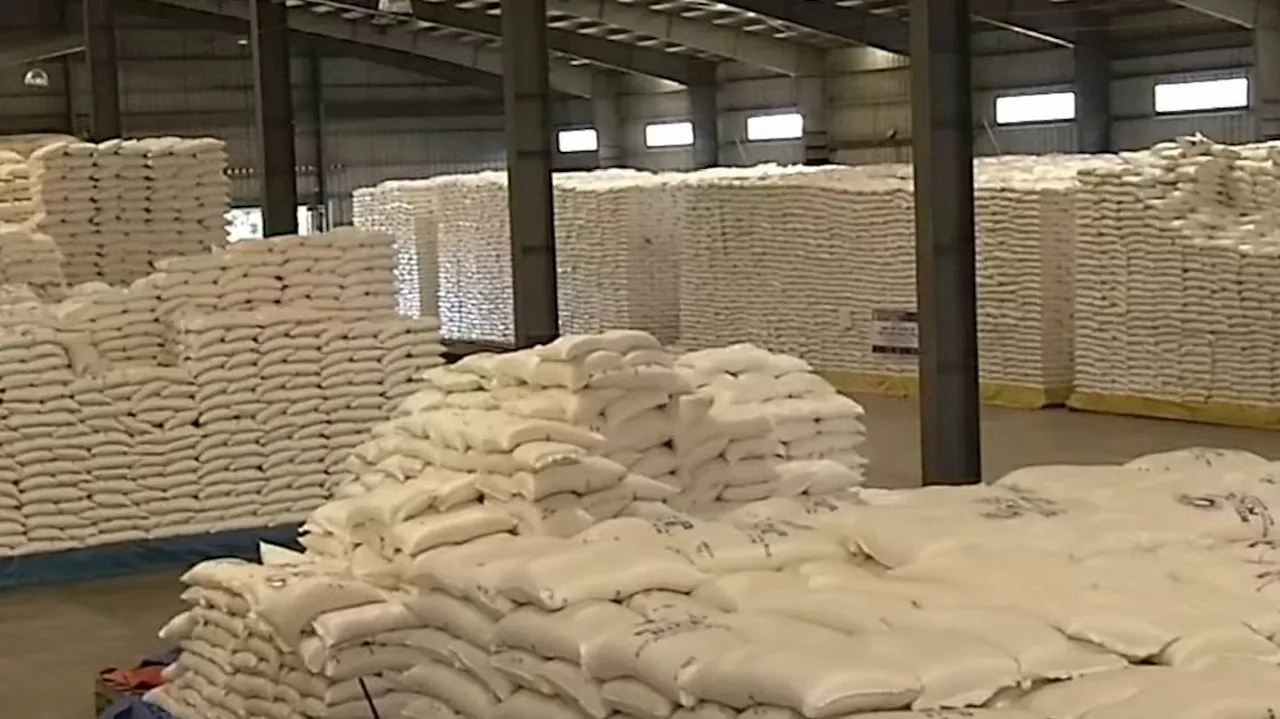 NFA warehouses full of rice buffer stocks as harvest season nears