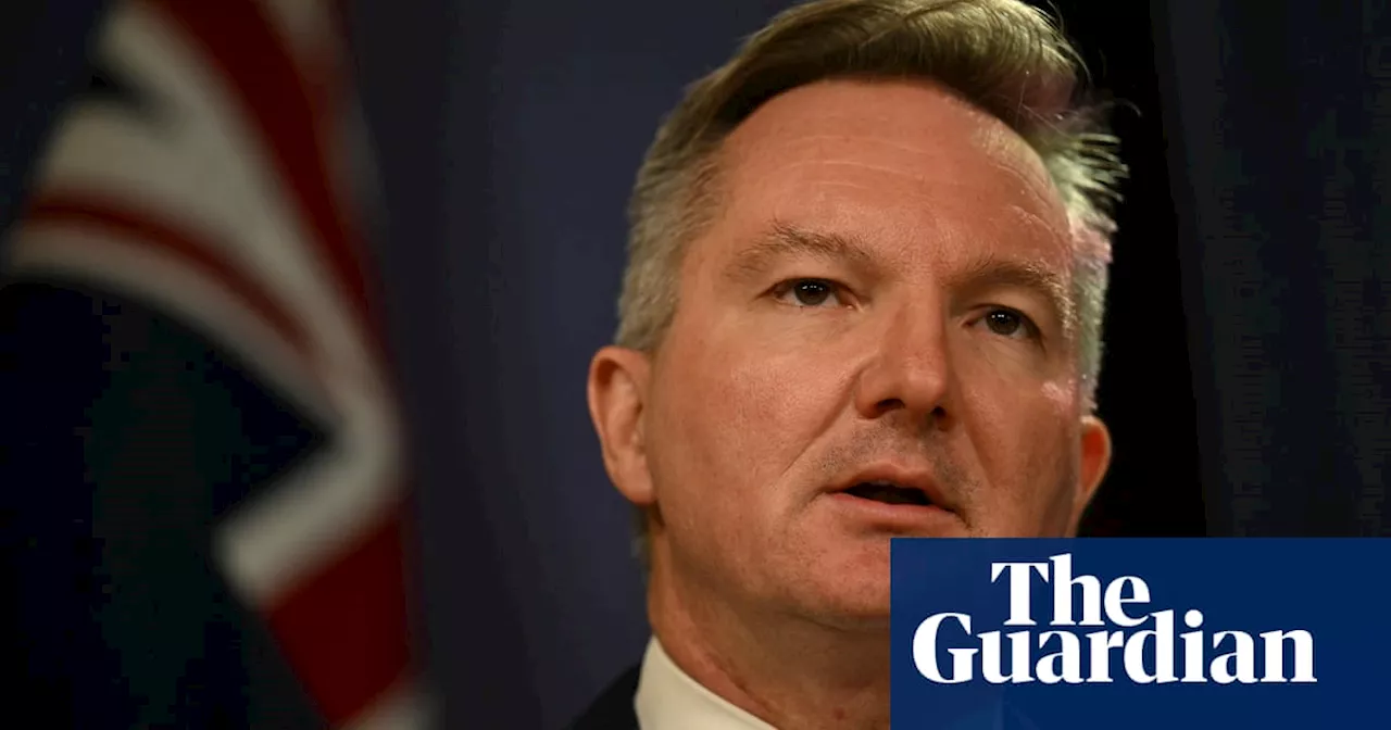 Australia ‘not giving up’ on Paris climate agreement despite Trump withdrawal, Bowen says