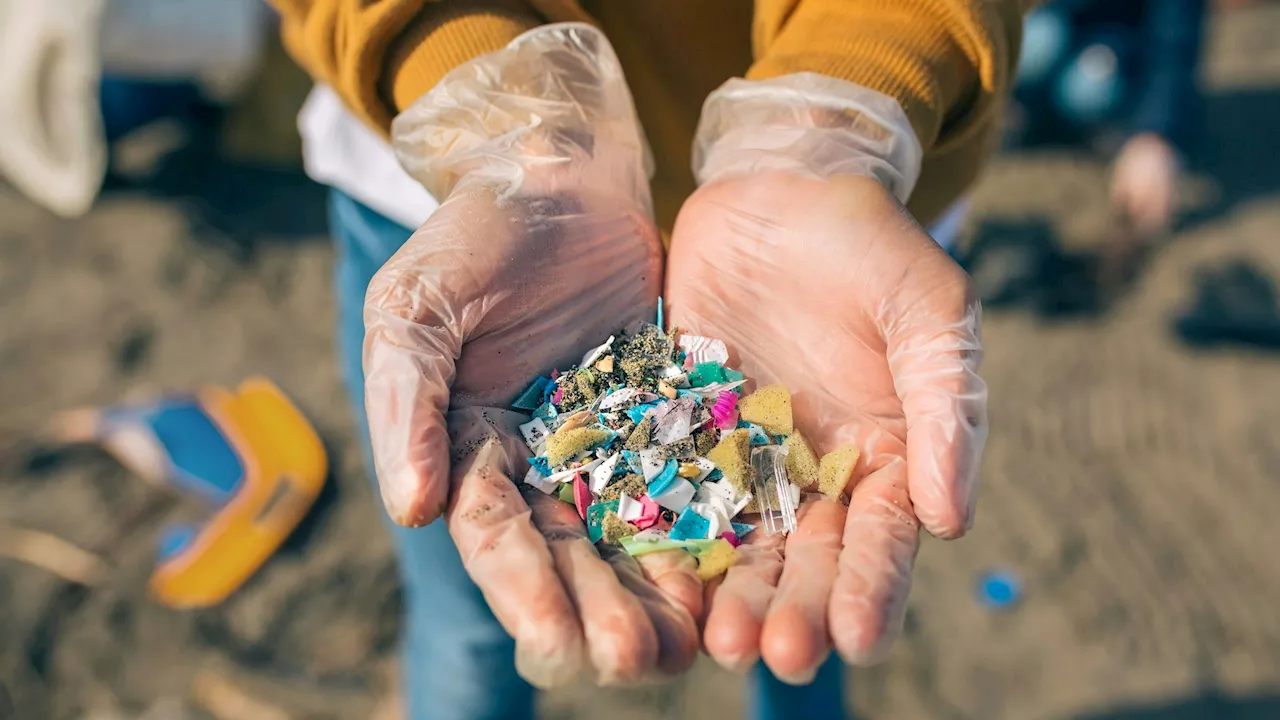 – Wie Mikroplastik dem Gehirn schaden kann