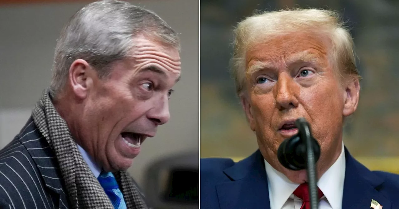 Nigel Farage Is 'Much Smaller' To Donald Trump Now After Elon Musk Row