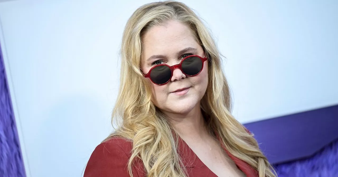 Amy Schumer's TMI On Oral Sex With Baseball Player Heads Into Foul Territory