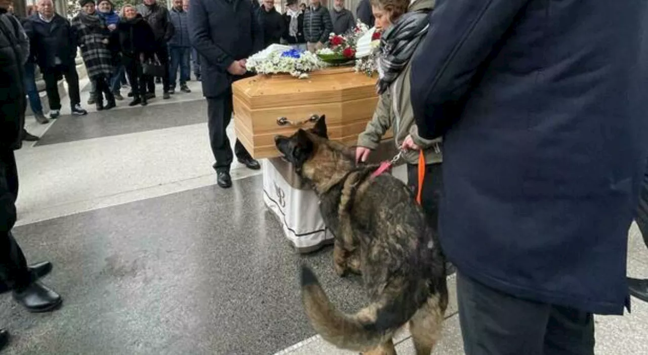 Leone, il cane “orfano” al funerale del padrone: annusa la bara, saluta il papà, poi va via con la sua nuova f