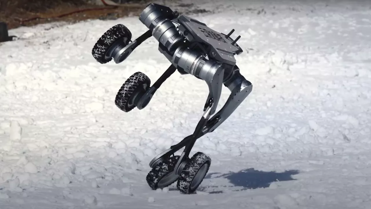 DEEP Robotics Unveils Lynx: A Quadruped Robot Dog Built for All Terrains