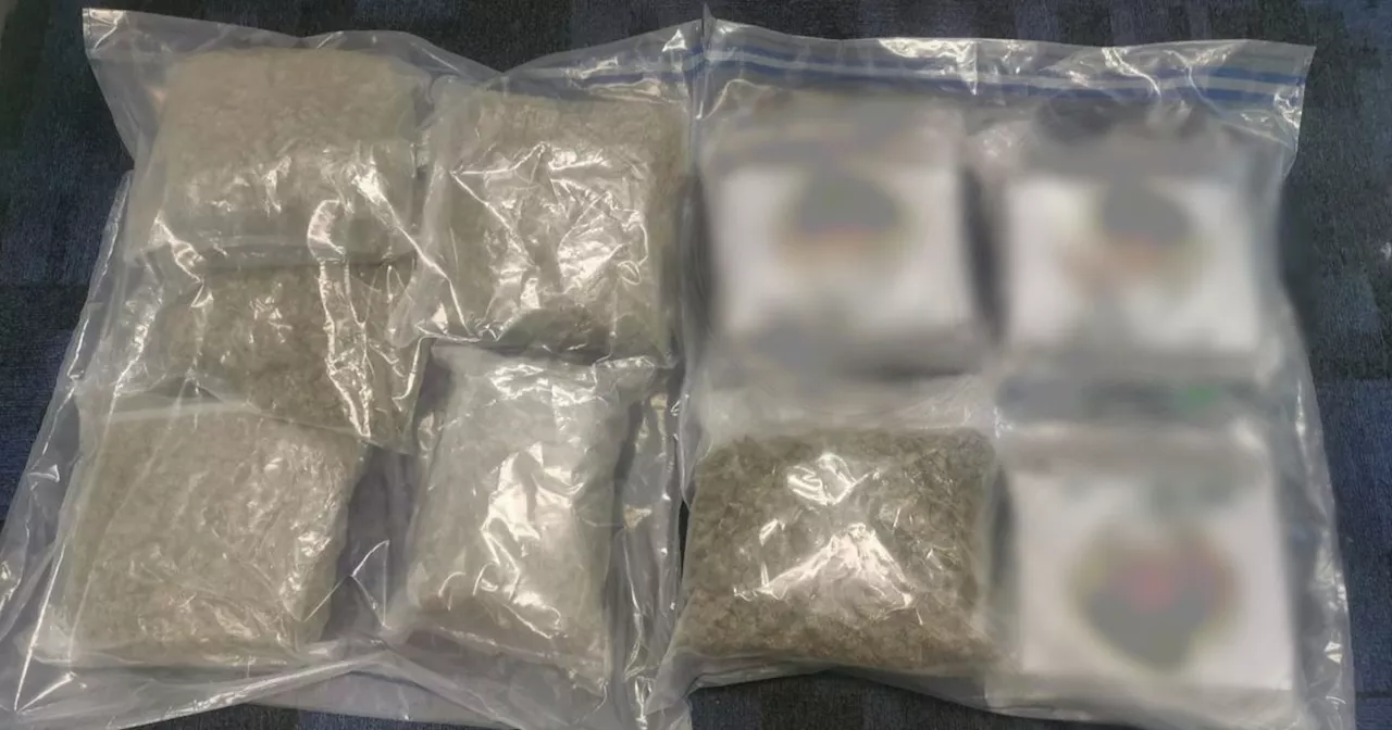 10kg Cannabis Haul Seized in Tipperary, Man Arrested