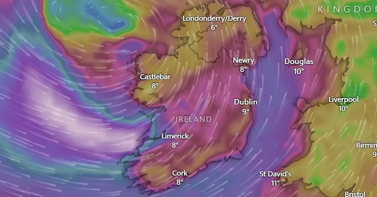 Storm Eowyn: RSA issues first of its kind warning to motorists across Ireland