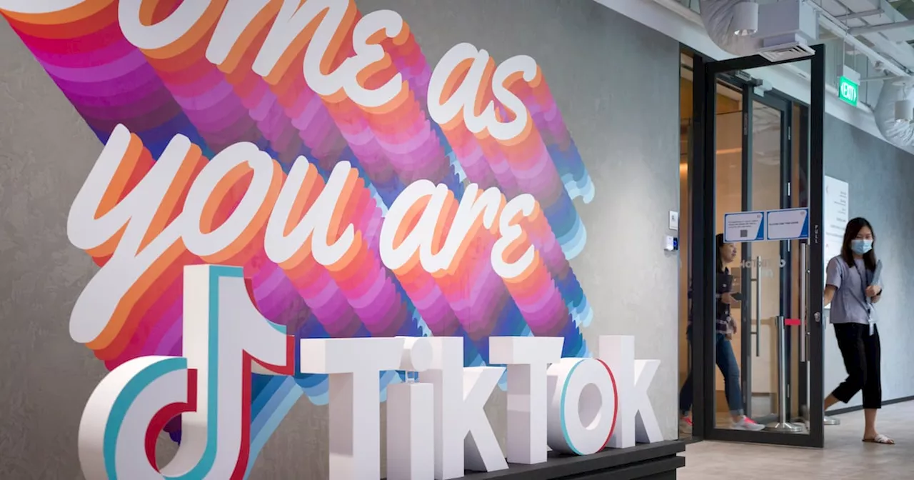 Was the TikTok US ban really necessary?