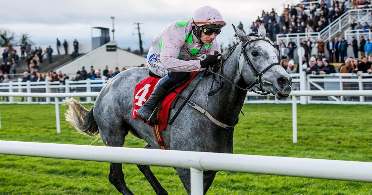 Lossiemouth Skips Unibet Hurdle to Target Irish Champion Hurdle