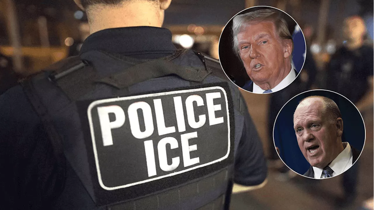 ICE Arrests Nearly 500 Undocumented Immigrants in First Hours of Trump Presidency