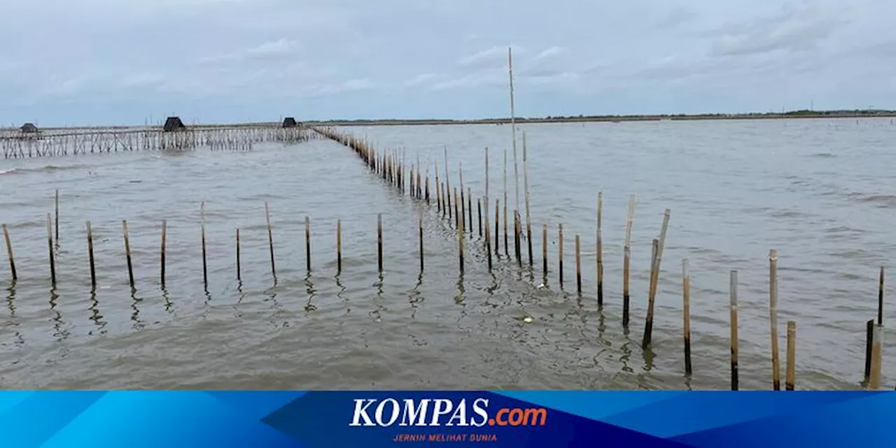 Ini Perbedaan Polemik HGB di Area Pagar Laut Tangerang dengan Sidoarjo