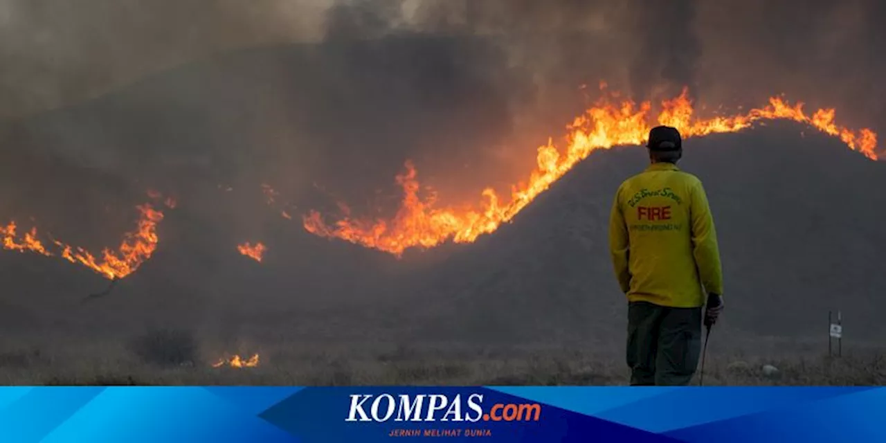 Kebakaran Los Angeles Meluas ke Utara, 2.000 Hektare Hangus dalam 2 Jam