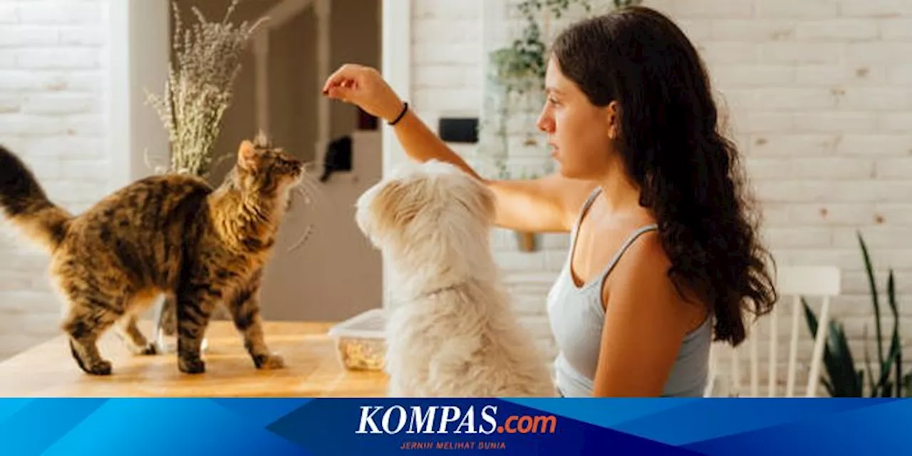 Mengapa Kucing dan Anjing Suka Dielus Kepalanya?