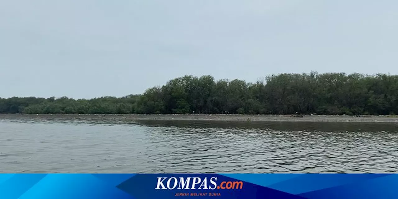 Perjalanan Kasus HGB di Laut Sidoarjo, 656 Hektar Milik 2 Perusahaan