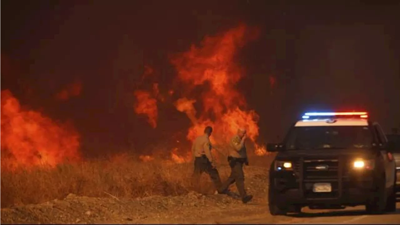 Karhutla Baru di California Bakar Lahan 41 Kilometer Persegi, 50.000 Orang Diminta Mengungsi