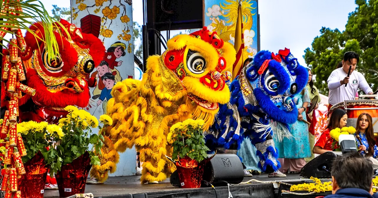 5 free places to celebrate Lunar New Year 2025 in San Diego