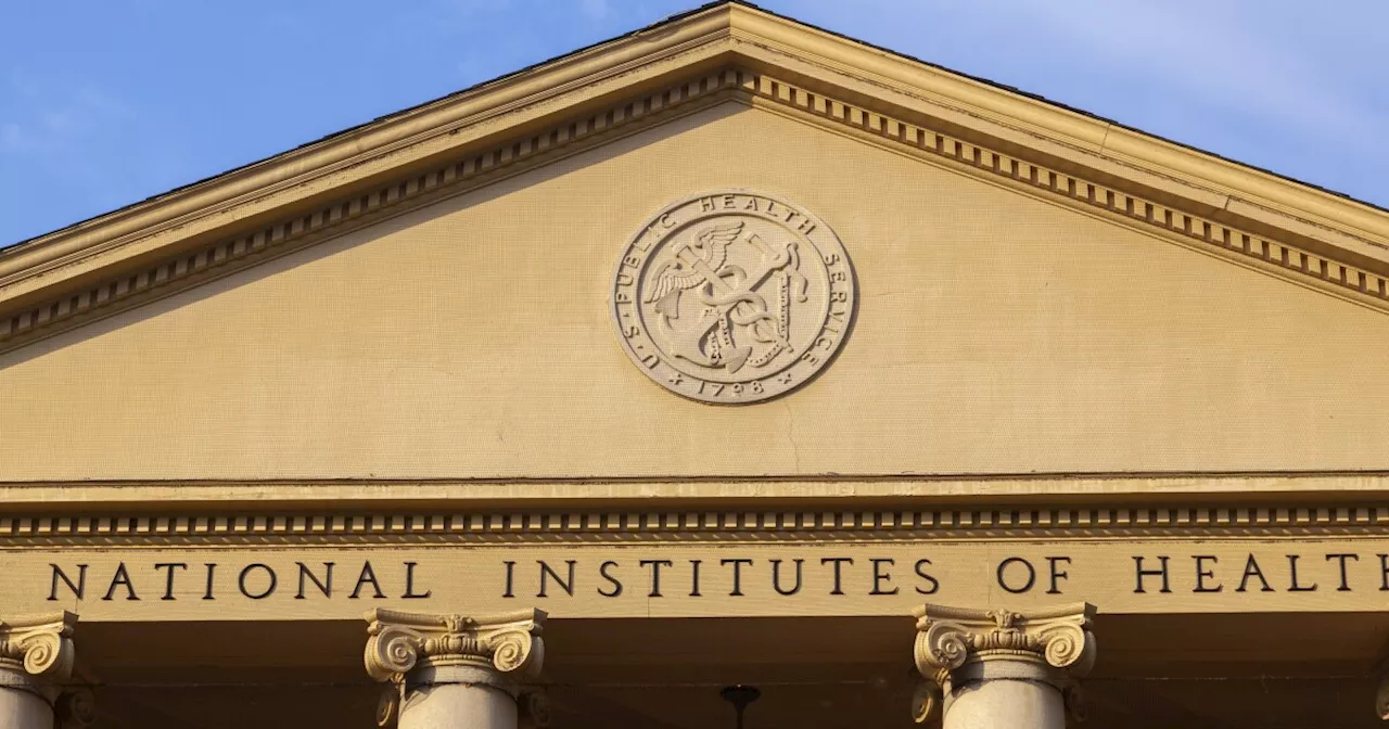 NIH Meeting Cancellations Spark Concern Among Researchers