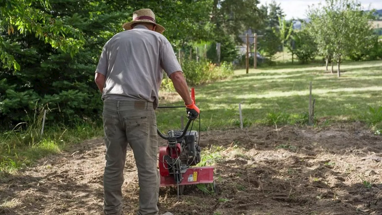 Amis jardiniers, tant qu’il est encore en stock saisissez vite ce motoculteur de marque