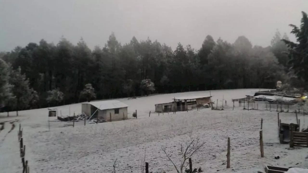 Frío, lluvia y agua nieve para estos municipios de Hidalgo; así el clima este jueves 23 de enero