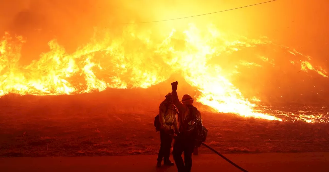 Bel-Air Fire Burns 40 Acres, Fueled by Dry Conditions and Wind