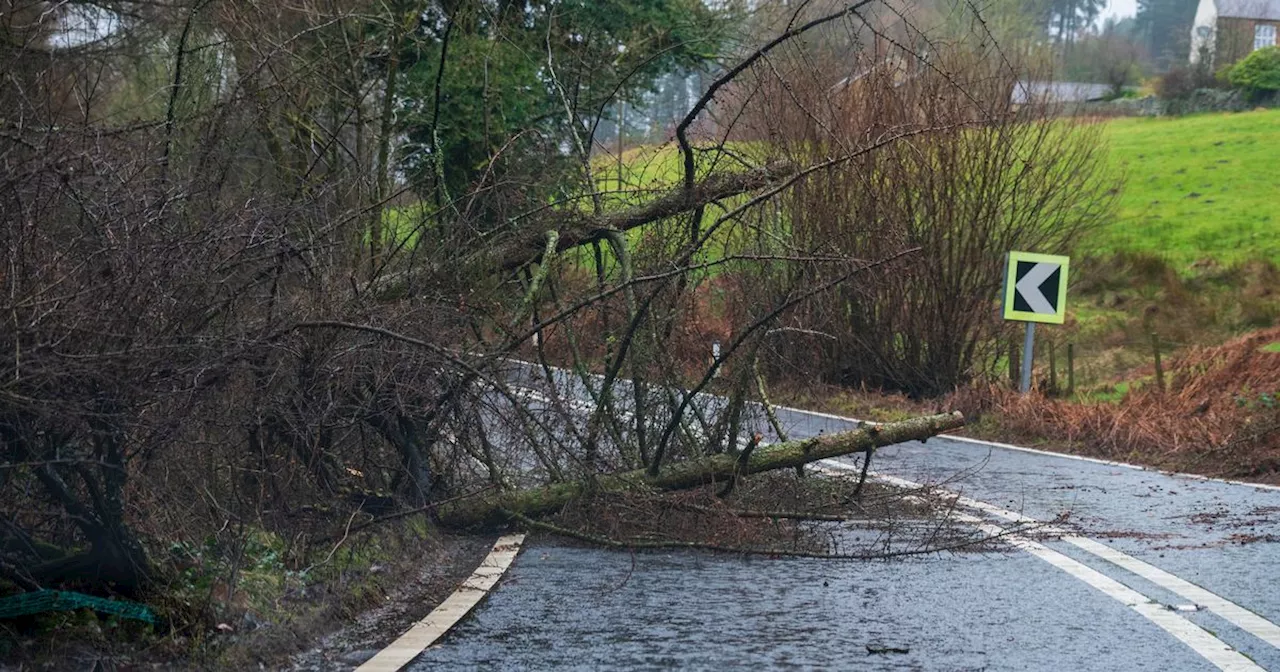 UK Batters Storm Éowyn: Amber and Red Warnings Issued