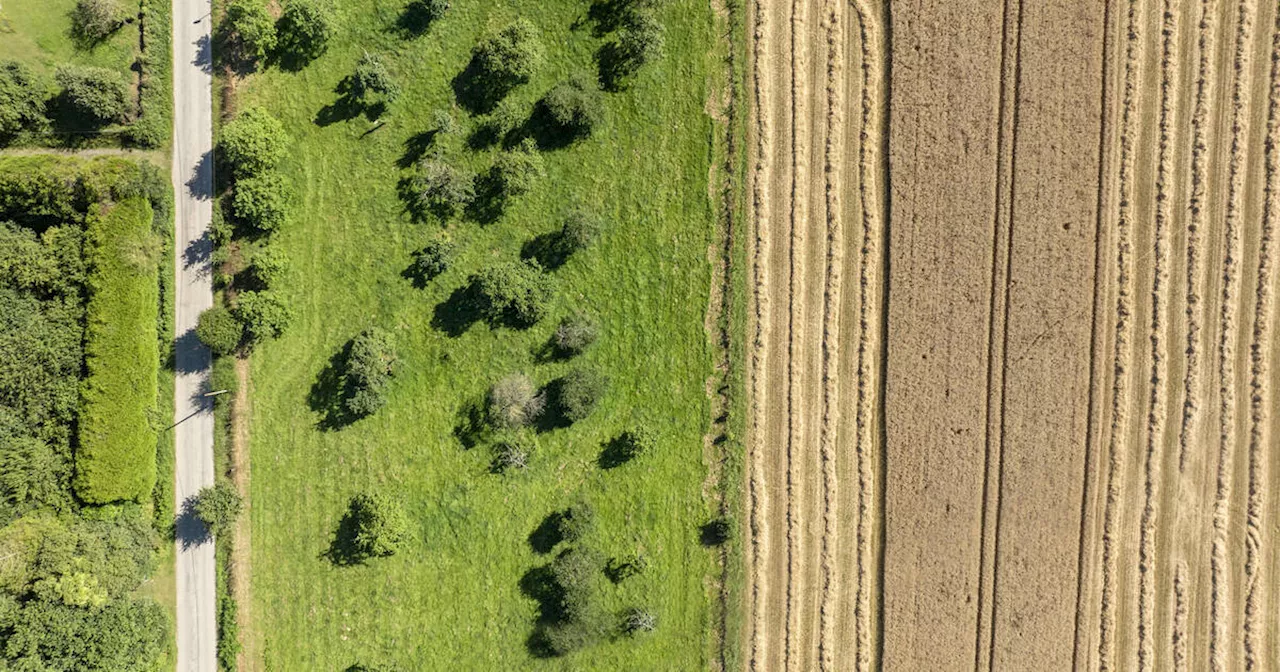 Environnement : l’offensive de la droite contre les agences et les normes vertes