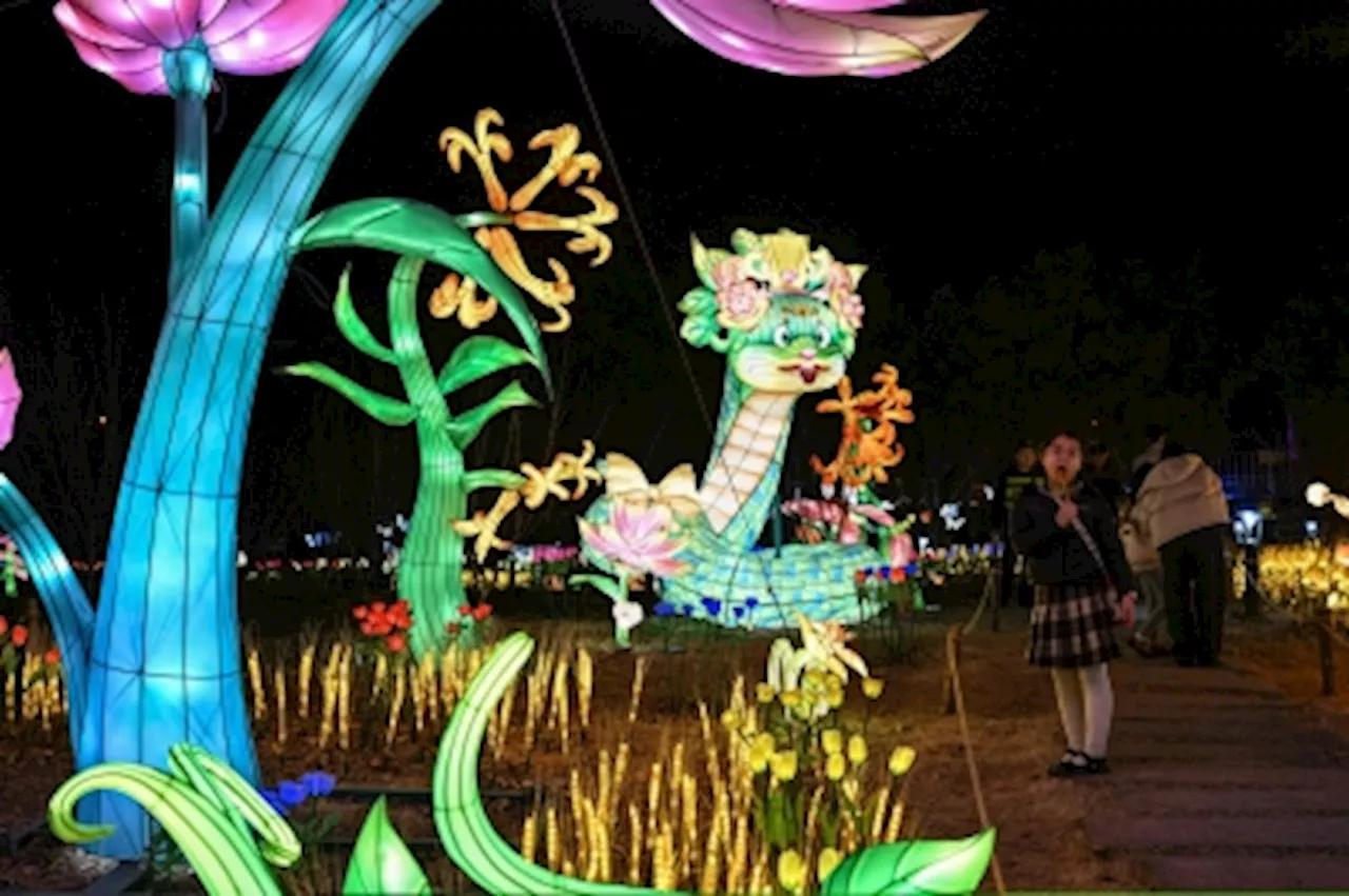 Giant Lanterns Light Up Fuzhou for Lunar New Year