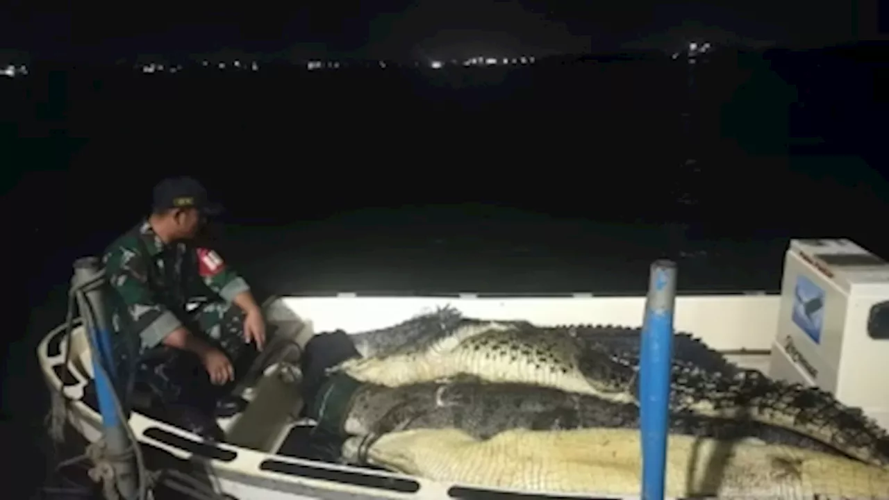 Indonesian officials say 34 crocodiles that escaped from Batam farm caught, threat of any reaching Singapore is ‘very low’