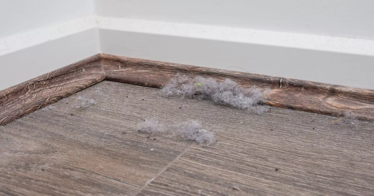 Fabric Softener: The Unexpected Solution for Dust-Free Skirting Boards