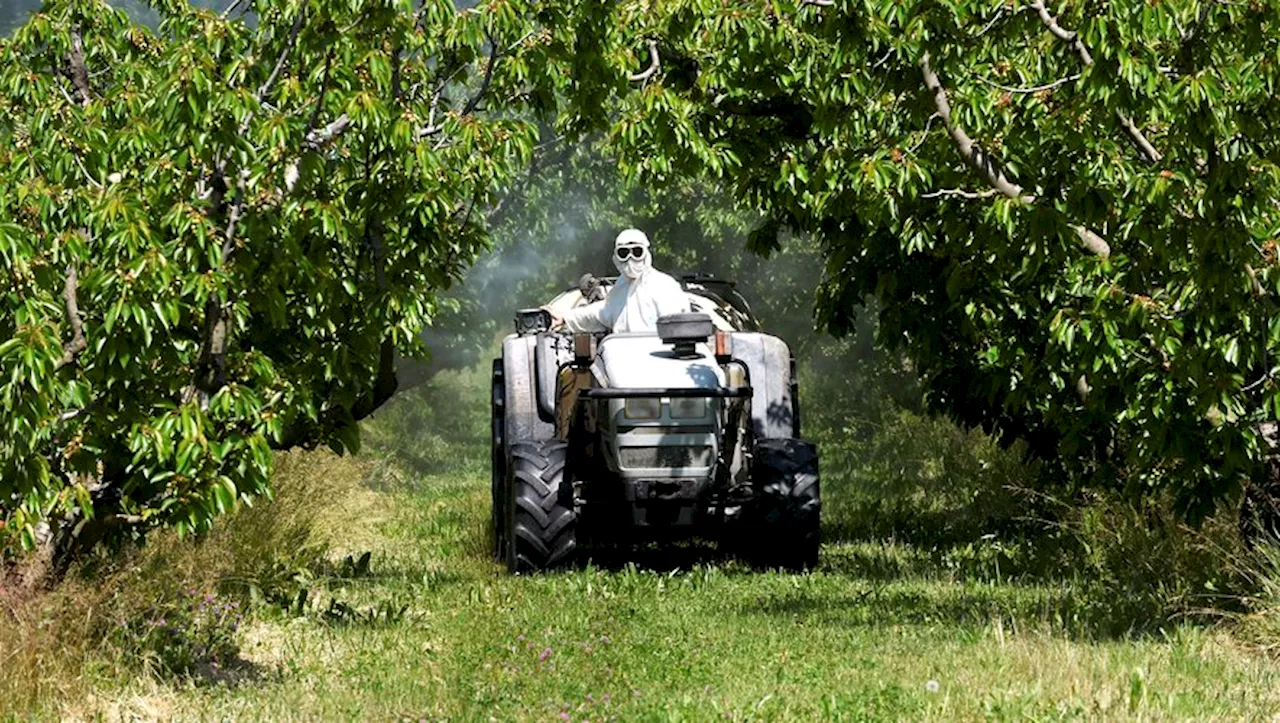 Pesticides : l’Hérault classé 5e acheteur sur 101 départements selon la carte interactive publiée par Générati