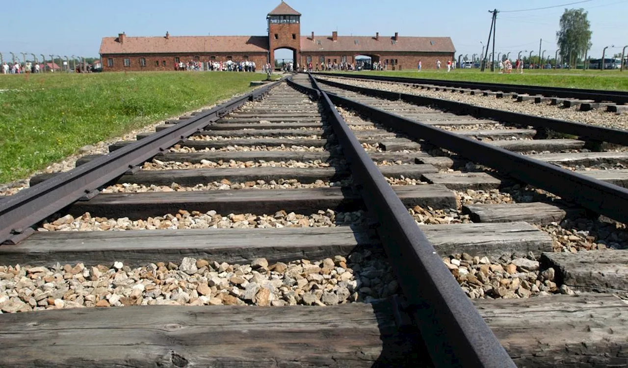 Jeder zehnte junge Erwachsene hat noch nie etwas vom Holocaust gehört