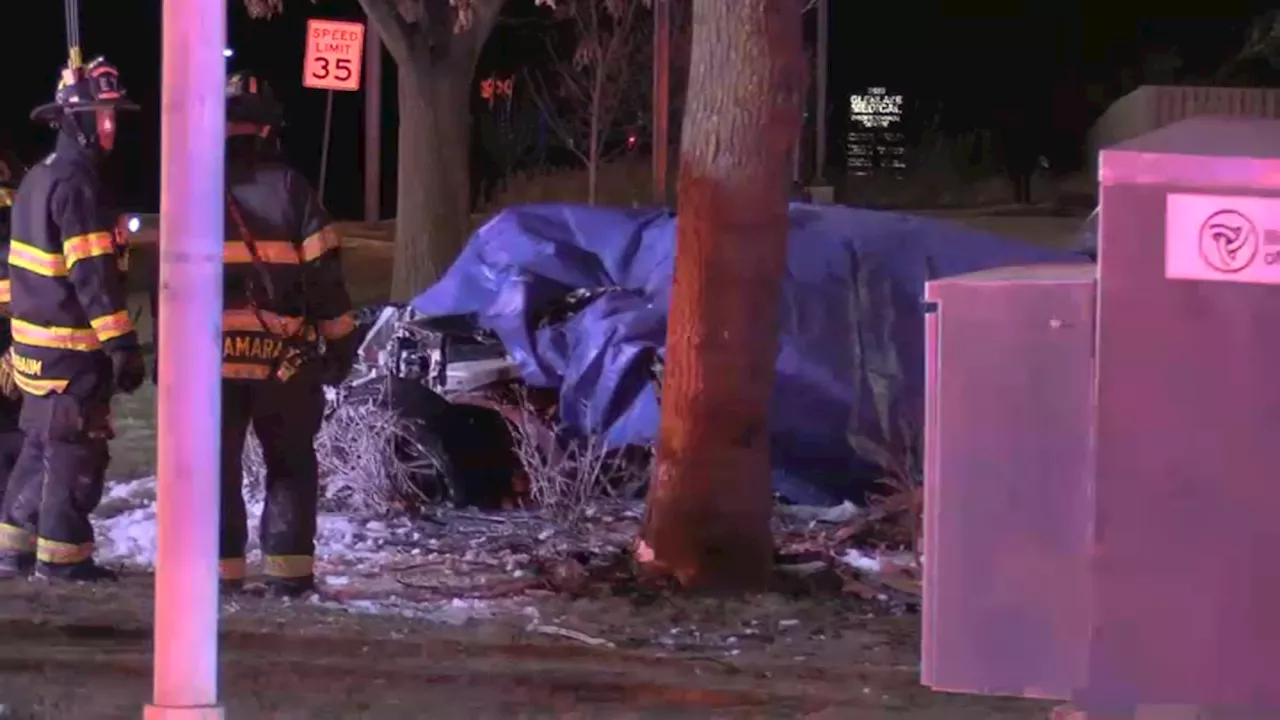 Three Young Adults Perish in Single-Vehicle Crash in Glenview