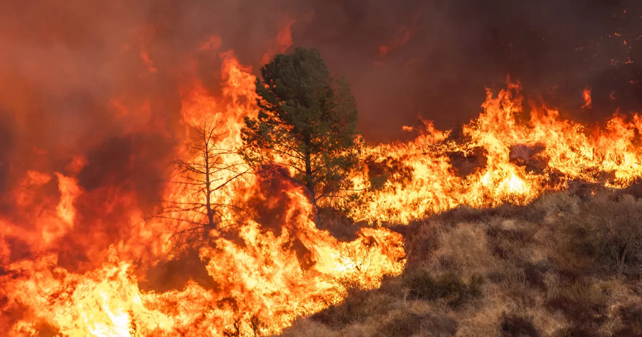 Thousands ordered to flee their homes after new blaze ignites in Los Angeles County