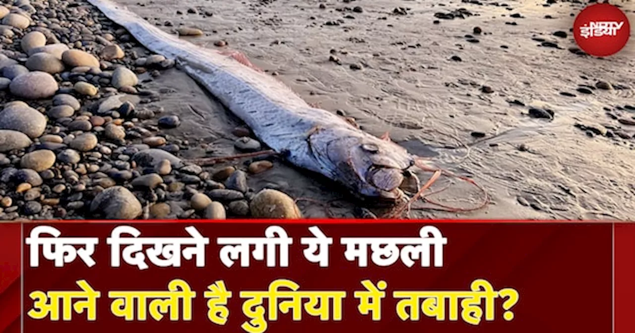 Oarfish: Mexico में आने वाली है तबाही! समुद्र से निकली मछली लाई क्या संदेश?