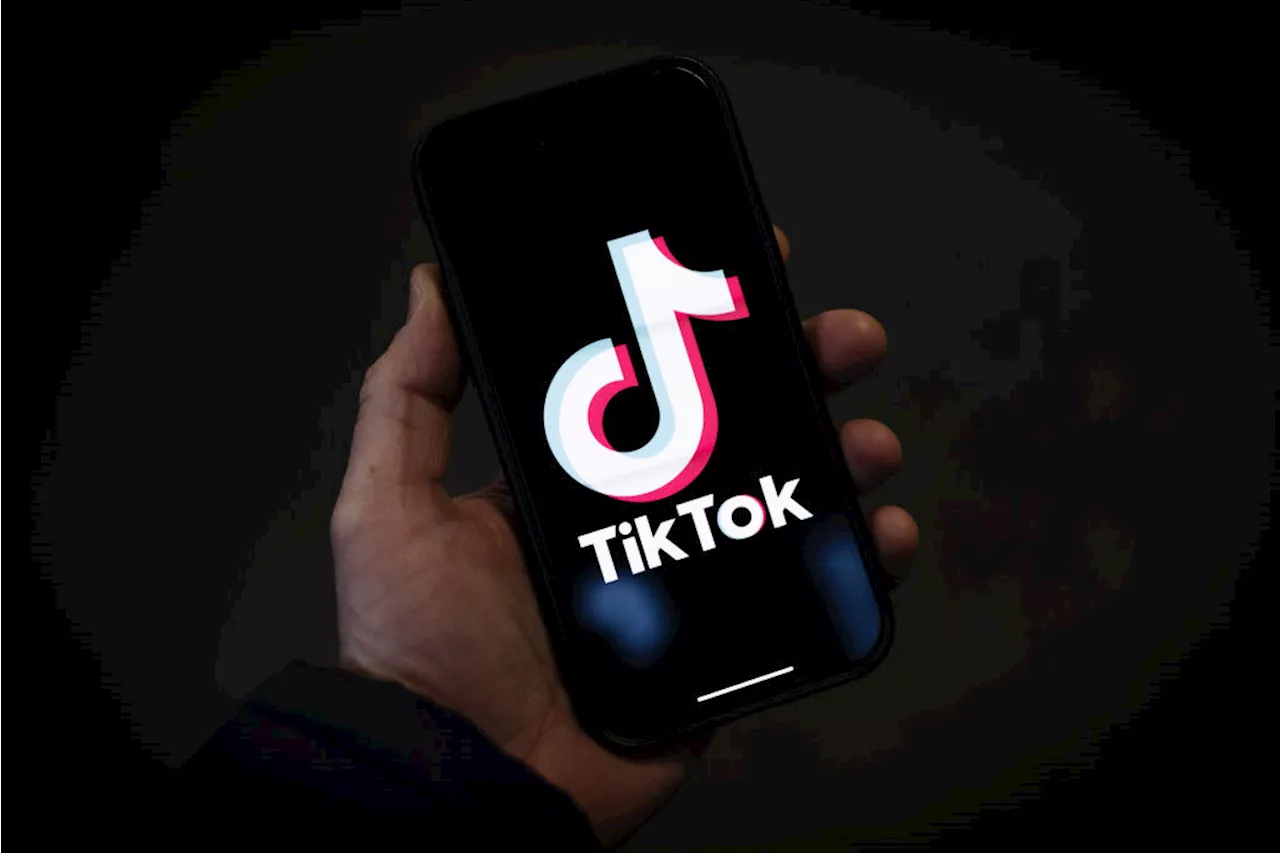 TikTok Sale: MrBeast, Musk and Ellison Enter the Fray