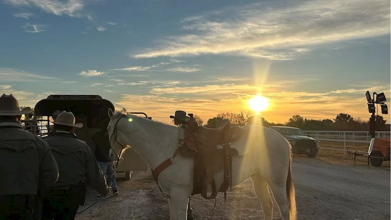 Mounted patrol unit tackles human smuggling in South Texas