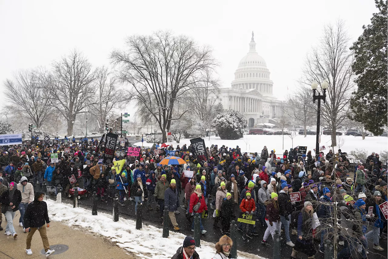 March for Life: A Call for Redemption and Holistic Alternatives to Abortion